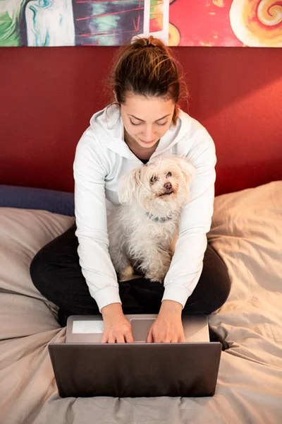 女孩和她的狗是在家里一起工作的 电脑在她房间的床底下 — 图库照片