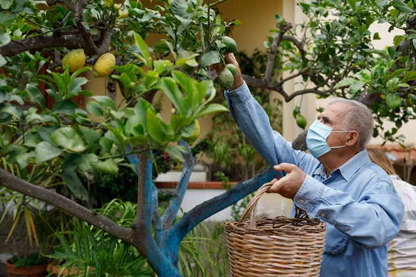 Elderly Man Home Garden — Stock Photo, Image