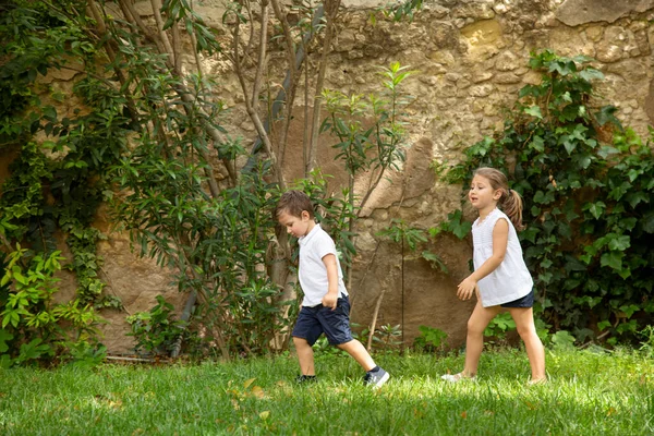Zwei Glückliche Kinder Die Auf Dem Rasen Spielen — Stockfoto