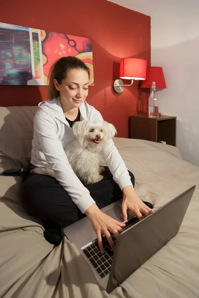 女孩和她的白狗一起工作在她的床上 与计算机保持着良好的工作模式 — 图库照片
