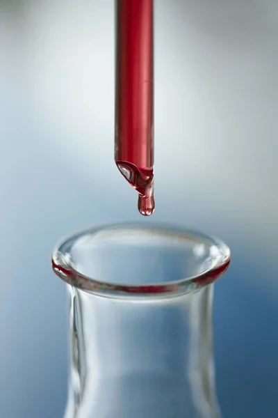 Blutstropfen Fallen Auf Ein Reagenzglas Isoliert Auf Grauem Hintergrund — Stockfoto