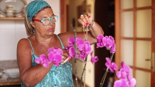 Starsza Kobieta Opaską Traktuje Swoje Orchidee Domu — Wideo stockowe