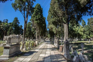 Bonaria Anıtsal Mezarlığı manzarası