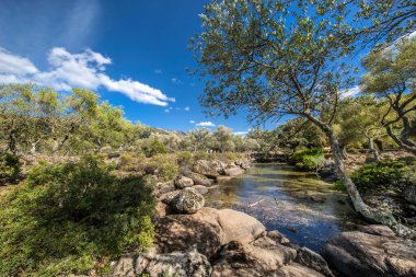 Piscinas Gölü, Baunei Golgo, Sardunya, İtalya