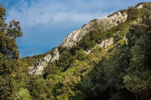 Blick Auf Den Berg Der Klöster Naturwald Barcelona Katalonien Spanien — Stockfoto
