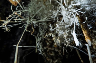 Doğanın güzel manzarası