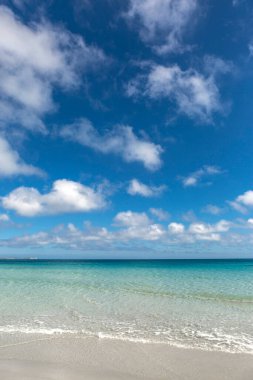 Denizde güzel bir sahil