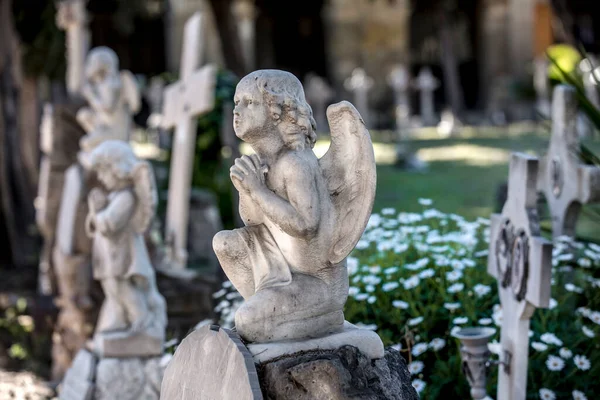 Ангели Статуї Монументальному Цвинтарі Бонарії — стокове фото