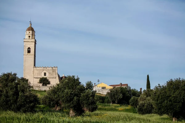 San Pietro Apostolo Kilisesi Ploaghe Sassari Sardunya — Stok fotoğraf