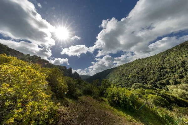 Krajina Zelenými Rostlinami Horami — Stock fotografie