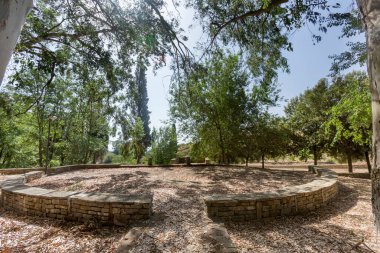 Eski kalıntılar ve yeşil ağaçlar.