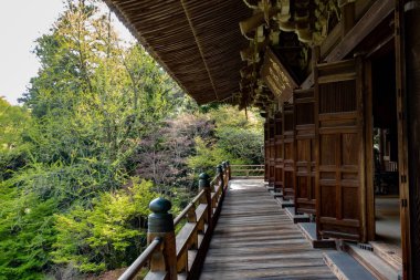 Zarifçe uzanan, güzel bir tapınağa uzanan, uzun tahta bir geçit var. Ağaçlar ise arka planda dikiliyor.