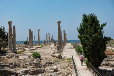 Bir insan, etrafı yüksek sütunlar ve yemyeşil ağaçlarla çevrili güzel manzaralı bir yolda rahatça yürüyor.