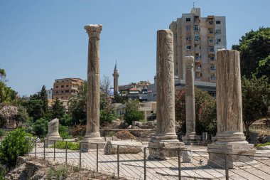 Arka planda belirgin bir tarihi bina bulunan manzaralı bir parkta zarif bir kolon koleksiyonu duruyor ve entrika ekliyor: