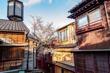 Büyüleyici bir kasabada, binalardan birinin tepesine konmuş güzel bir fenerin bulunduğu bir sıra gururla ayakta duruyor.