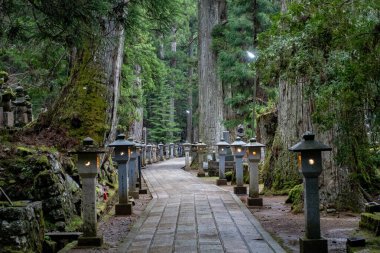 Güzel, dolambaçlı bir taş yol görülür, yeşil bir ormanın büyüleyici çevresini aydınlatan parıldayan fenerlerle zarif bir şekilde çizilmiş.
