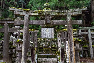 Uzun ağaçlarla dolu gür bir ormanın doğal güzelliği arasında geleneksel bir torii kapısı bulunan huzurlu bir mezarlık.