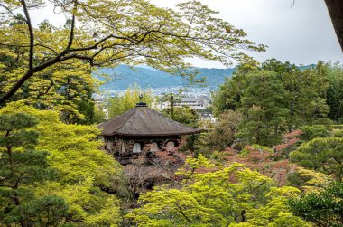 Geniş bir ormanın ortasında, etrafını saran engin ağaçların arasına eşsiz bir şekilde yerleştirilmiş bir çardak bulunur.