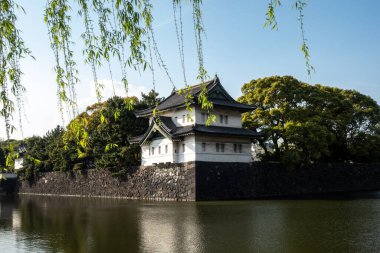 Huzurlu bir gölün ortasında, yemyeşil ve uzun görkemli ağaçlarla çevrili etkileyici bir kale bulunur.
