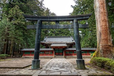 Geleneksel bir torii kapısı, bereketli bir ormanın kalbinin derinliklerinde yer alan güzel bir tapınağın önünde gururla durur.