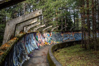 Renkli graffitilerle kaplı büyük beton bir duvar yoğun bir ormanın ortasında, yüksek ağaçlarla çevrili duruyor.