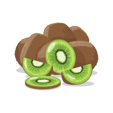 Kivi tasarım vektörü. Kivi vektör kavramı.