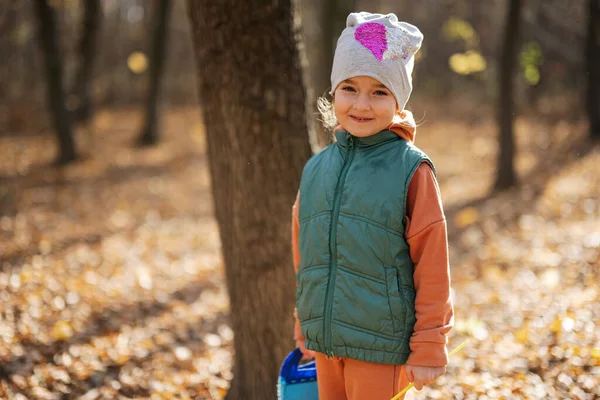 森林里美丽快乐的小女孩的秋天户外肖像 — 图库照片