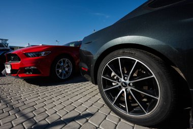 Lviv, Ukrayna - 09 Ekim 2022: Ford Mustang Çarkı, Amerikan kaslı arabaları araba piyasasında.