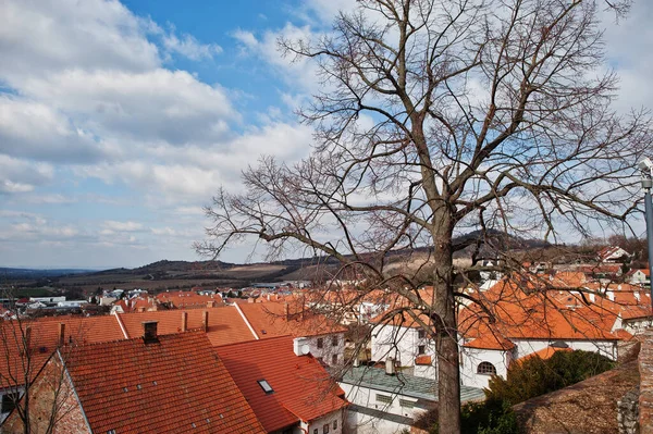 Mikulov Stadt Südmähren Tschechien Blick Auf Rote Dachziegel Und Baum — Stockfoto