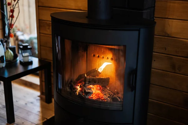 Burning Wood Modern Black Fireplace Closed Combustion Chamber Standing Living — Stock Photo, Image
