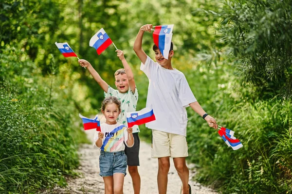 Três Crianças Seguram Bandeiras Eslovenas Parque Nacional Triglav Eslovênia — Fotografia de Stock
