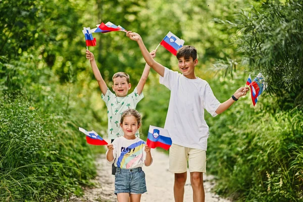Three kids hold slovenian flags in Triglav National Park, Slovenia.