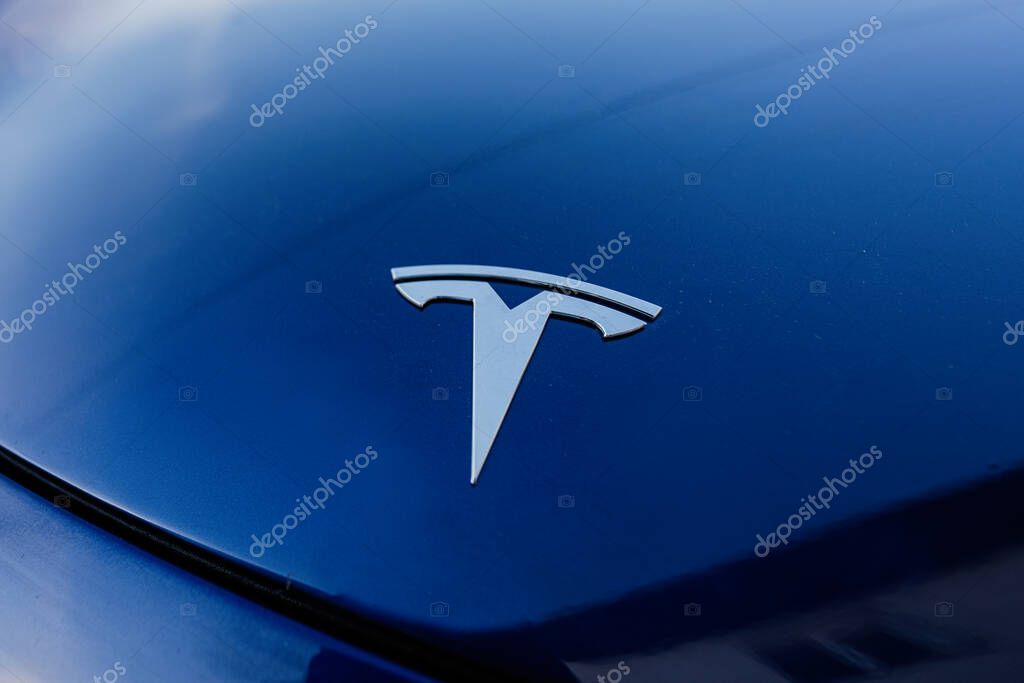 Lviv, Ukraine - October 09, 2022: Logo on Blue Tesla model car.