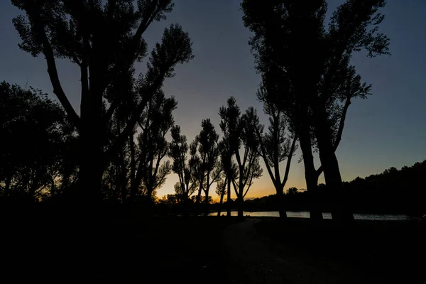 Σιλουέτες Των Δέντρων Πάνω Από Λίμνη Την Αυγή Της Ανατολής — Φωτογραφία Αρχείου