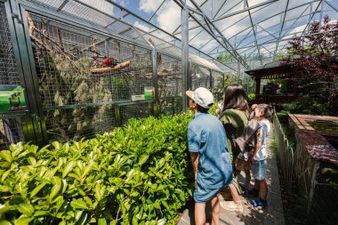 Çocuklu anne güneşli bir günde papağan hayvanat bahçesini ziyaret ediyor.. 