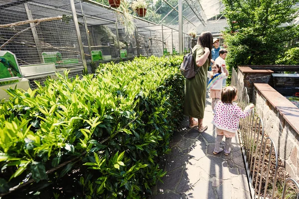 Mãe Com Crianças Visitar Zoológico Papagaio Dia Ensolarado — Fotografia de Stock