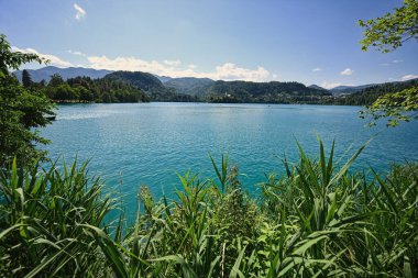 Slovenya 'nın küçük adasında St. Marys Varsayım Kilisesi ile Bled Gölü.