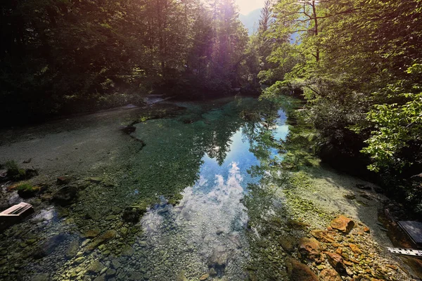 Agua Verde Esmeralda Del Río Sava Bohinjka Los Alpes Julianos —  Fotos de Stock