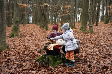 Mother and daughters with cat travel plastic cage carriage outdoor at wood.
