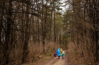 Rear view of mother and three children walking in the forest after rain in raincoats together.