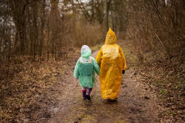 Rear view of  brother and sister in raincoats walking in the forest after rain.