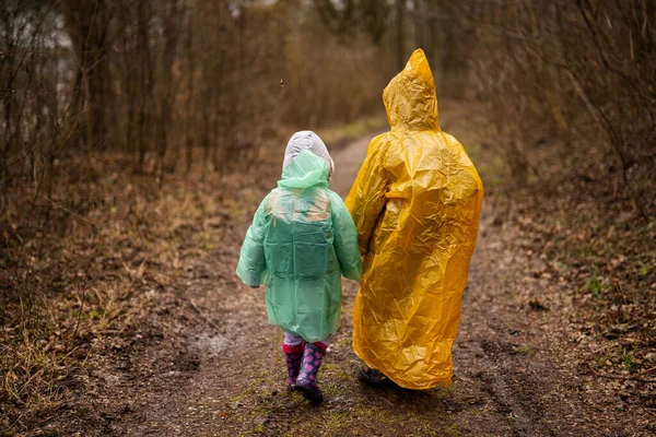 Rear view of  brother and sister in raincoats walking in the forest after rain.