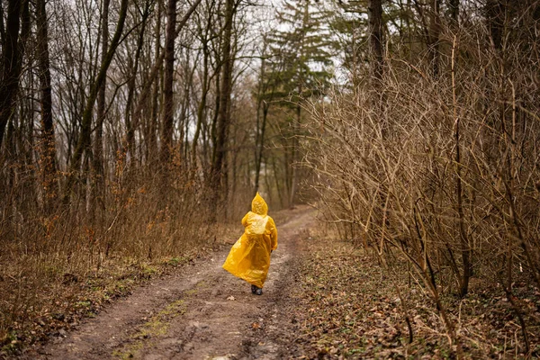 Rear view of boy in yellow raincoat walking in the forest after rain.