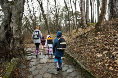 Back of mother and children walking in forest on stone path.