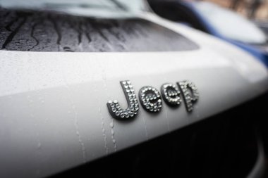 Ivano-Frankivsk, Ukrayna - Mart 2023: Arabada cip logosu üzerinde Swarovski kristalleri.