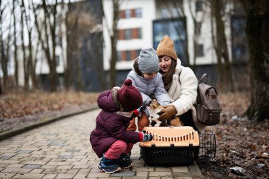 Mother and daughters with cat in travel plastic cage carriage outdoor at park.