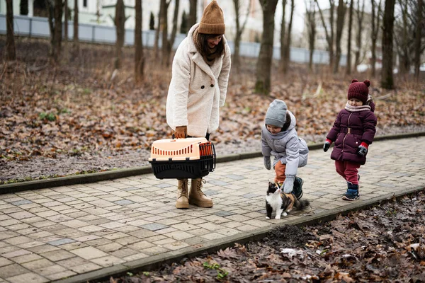 Mother Daughters Walking Kitten Travel Plastic Cage Carriage Outdoor Park — Φωτογραφία Αρχείου