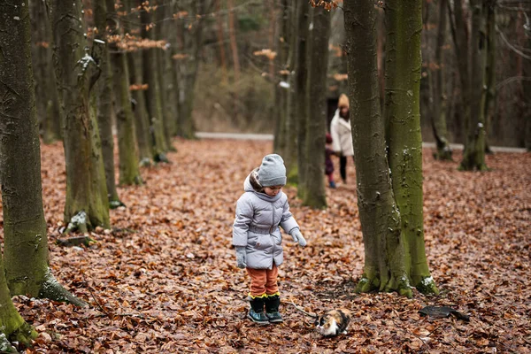 Girl walking with kitten outdoor at wood.