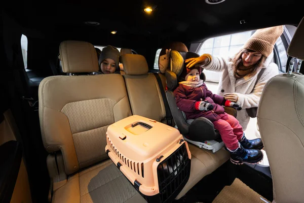 Mother and daughters with cat travel plastic cage carriage in car.