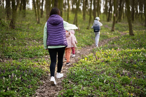 Visão Traseira Mãe Com Três Filhos Caminhando Trilha Florestal Conceito — Fotografia de Stock